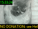 15:33:24