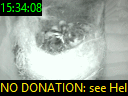 15:34:08