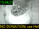 15:34:25