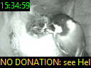 15:34:59