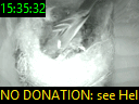 15:35:32