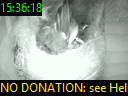 15:36:18