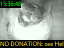 15:36:48