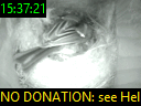 15:37:21