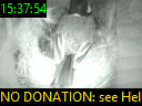 15:37:54