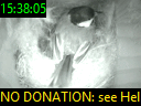 15:38:05