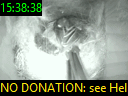15:38:38
