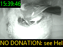 15:39:46
