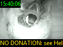 15:40:06