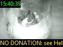 15:40:39