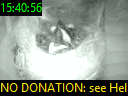 15:40:56