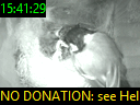 15:41:29