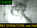 15:42:02