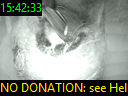 15:42:33