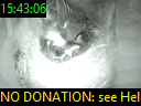 15:43:06