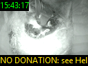 15:43:17