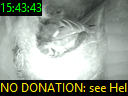 15:43:43