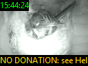 15:44:24