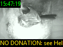 15:47:19