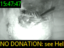 15:47:47