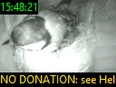 15:48:21
