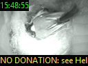 15:48:55