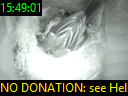 15:49:01