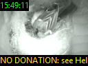 15:49:11