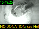 15:49:25