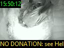 15:50:12