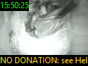 15:50:25