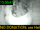 15:50:47