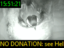 15:51:21