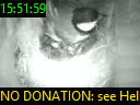 15:51:59