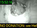 15:52:16