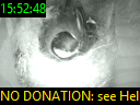 15:52:48