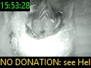 15:53:28