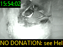 15:54:02