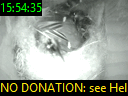 15:54:35