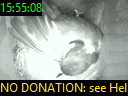 15:55:08