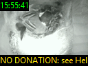 15:55:41