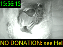 15:56:15