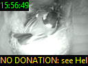 15:56:49
