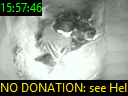 15:57:46