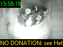 15:58:19