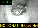 15:58:37