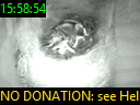 15:58:54