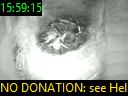 15:59:15