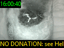 16:00:40
