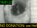 16:01:22